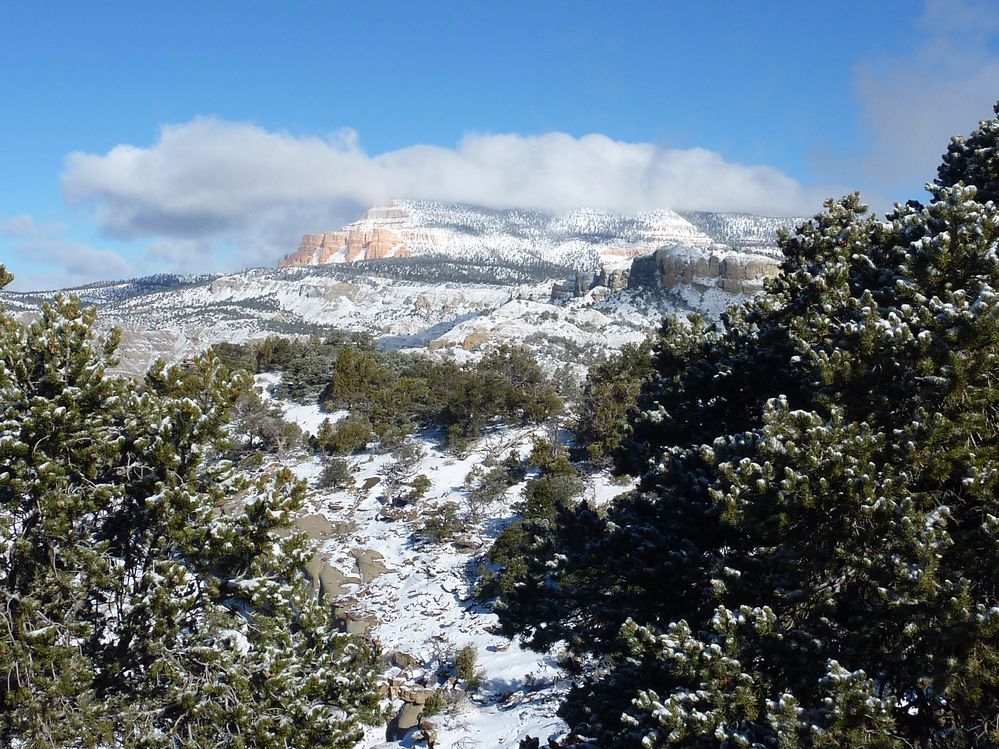 Grand Staircase - Escalante (40).JPG